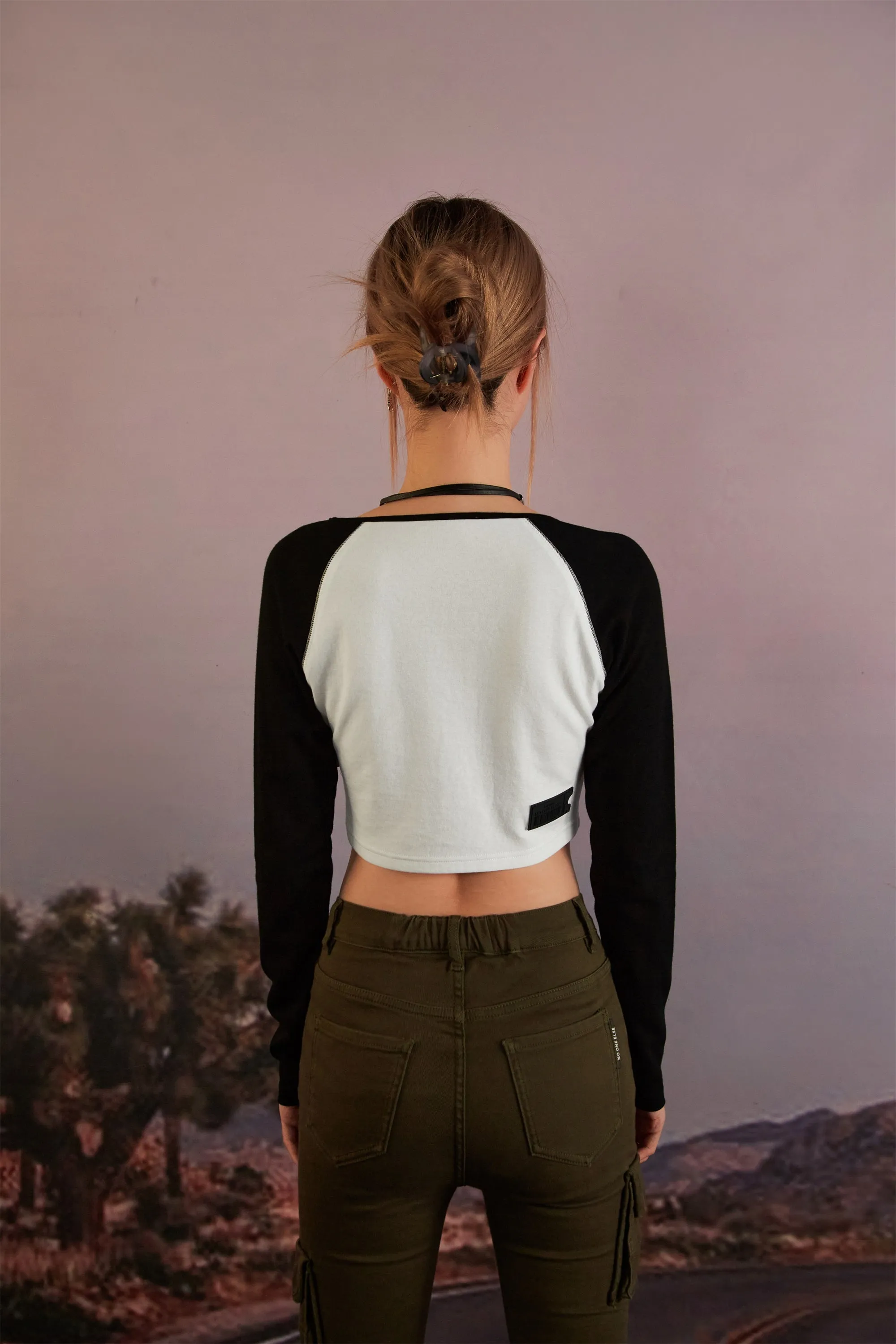 Noe Simple Crop Long Sleeve Top